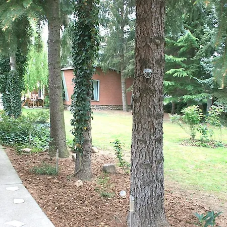 Apartment Grune Oase Magdeburg